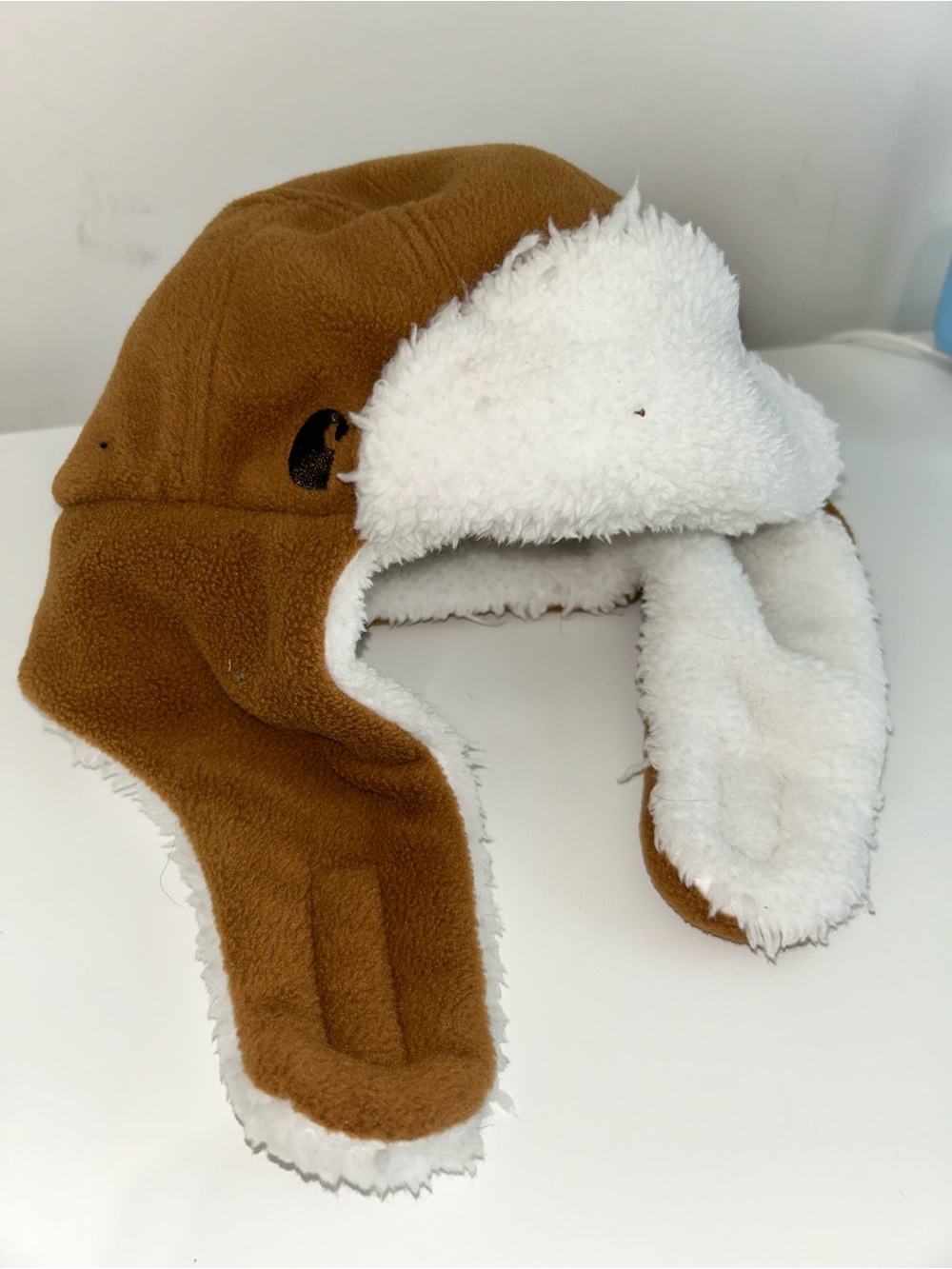 Carhartt Winter Hat
